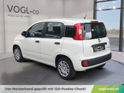 Fiat Panda Vorführwagen