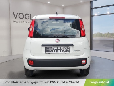 Fiat Panda Vorführwagen