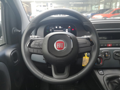 Fiat Panda Vorführwagen