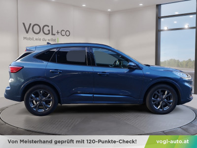 Ford Kuga Gebrauchtwagen Ford Kuga Gebrauchtwagen