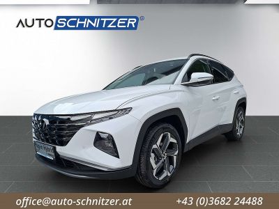 Hyundai Tucson Tageszulassung