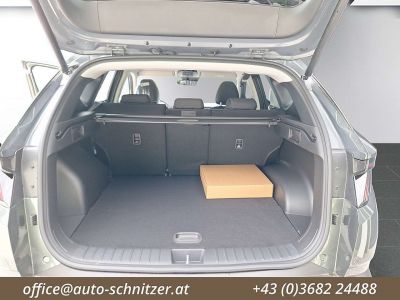 Hyundai Tucson Tageszulassung