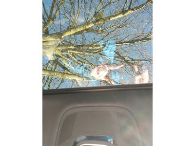 Audi Q5 Gebrauchtwagen Audi Q5 Gebrauchtwagen