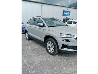 Skoda Karoq Gebrauchtwagen Skoda Karoq Gebrauchtwagen