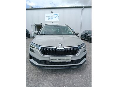 Skoda Karoq Gebrauchtwagen