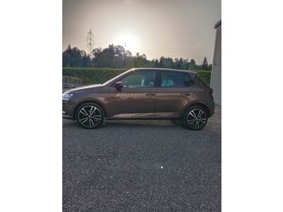 Skoda Fabia Gebrauchtwagen Skoda Fabia Gebrauchtwagen