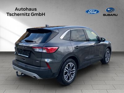 Ford Kuga Gebrauchtwagen