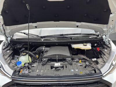 Ford Transit Custom Tageszulassung