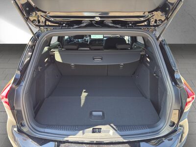 Ford Focus Vorführwagen