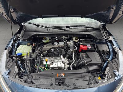 Ford Focus Vorführwagen