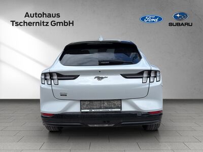 Ford Mustang Mach-E Gebrauchtwagen Ford Mustang Mach-E Gebrauchtwagen