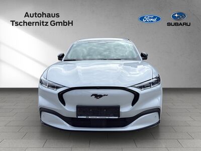 Ford Mustang Mach-E Gebrauchtwagen Ford Mustang Mach-E Gebrauchtwagen