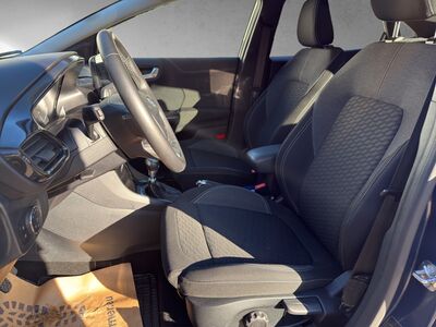 Ford Puma Gebrauchtwagen Ford Puma Gebrauchtwagen