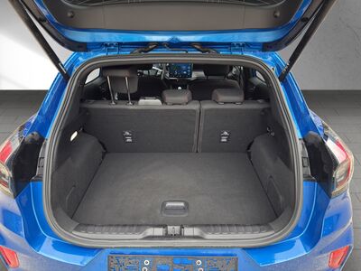 Ford Puma Gebrauchtwagen Ford Puma Gebrauchtwagen