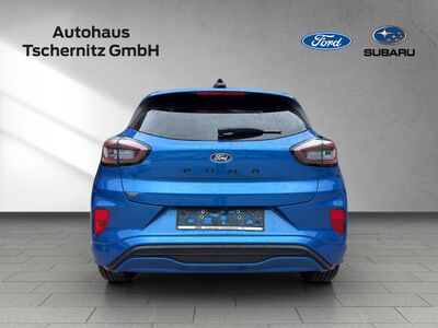 Ford Puma Gebrauchtwagen Ford Puma Gebrauchtwagen