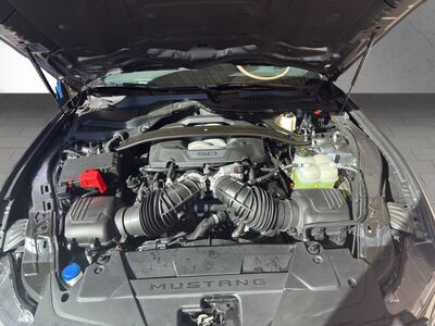 Ford Mustang Neuwagen Ford Mustang Neuwagen