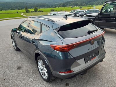 Cupra Formentor Gebrauchtwagen