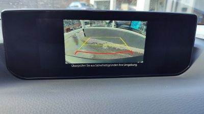 Mazda MX-30 Vorführwagen Mazda MX-30 Vorführwagen