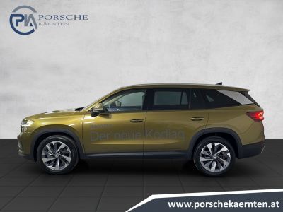 Skoda Kodiaq Gebrauchtwagen