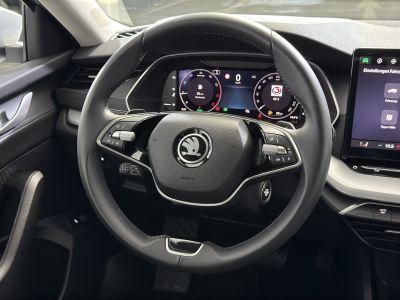 Skoda Octavia Gebrauchtwagen