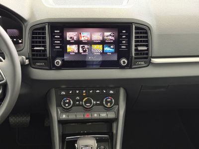 Skoda Karoq Gebrauchtwagen