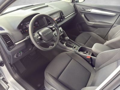 Skoda Karoq Gebrauchtwagen