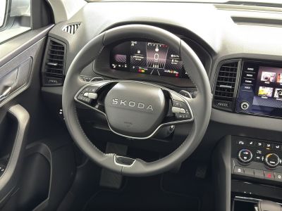 Skoda Karoq Gebrauchtwagen