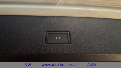 VW T-Roc Tageszulassung