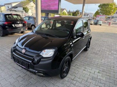 Fiat Panda Gebrauchtwagen