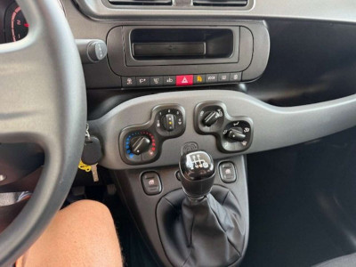 Fiat Panda Gebrauchtwagen