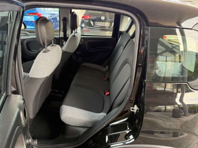Fiat Panda Gebrauchtwagen