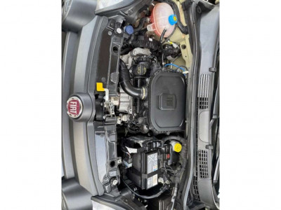 Fiat Panda Gebrauchtwagen