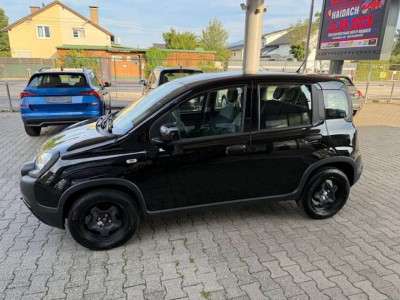 Fiat Panda Gebrauchtwagen