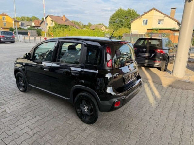 Fiat Panda Gebrauchtwagen