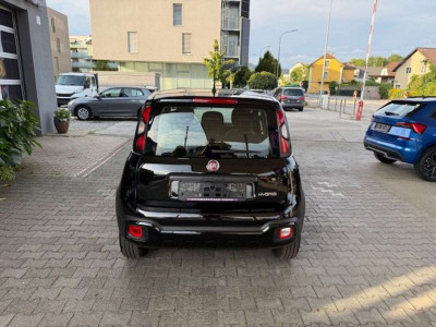 Fiat Panda Gebrauchtwagen