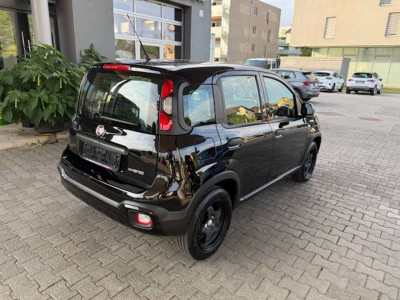 Fiat Panda Gebrauchtwagen