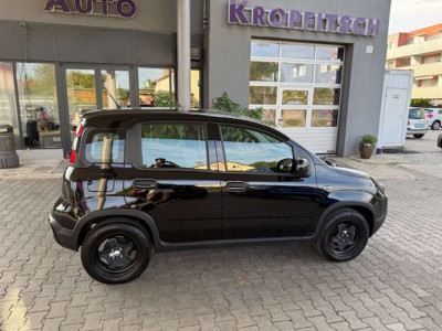 Fiat Panda Gebrauchtwagen