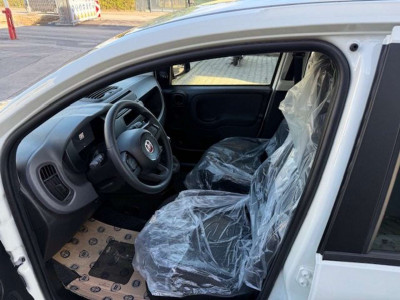 Fiat Panda Tageszulassung