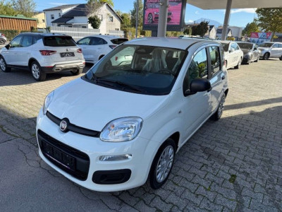 Fiat Panda Tageszulassung