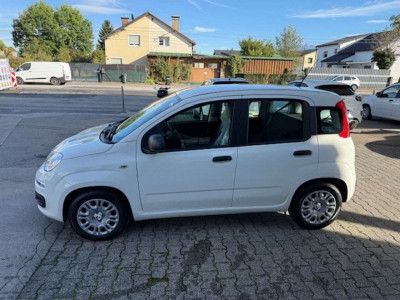 Fiat Panda Tageszulassung