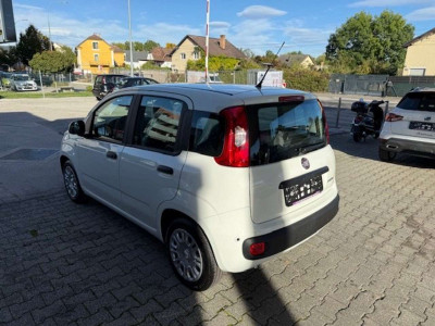 Fiat Panda Tageszulassung