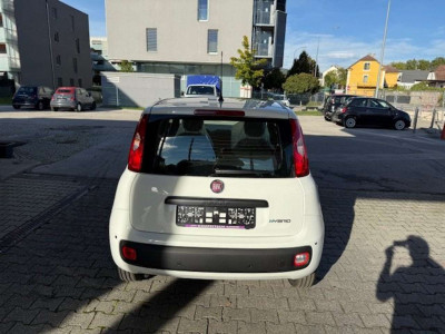 Fiat Panda Tageszulassung