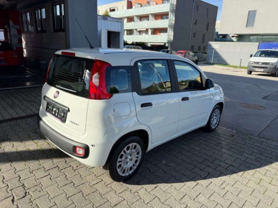 Fiat Panda Tageszulassung