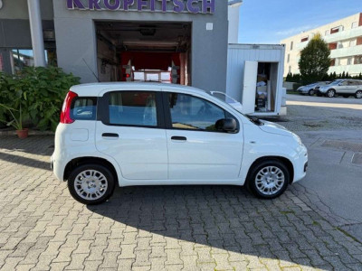 Fiat Panda Tageszulassung