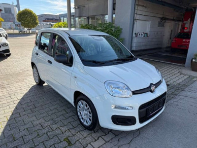 Fiat Panda Tageszulassung