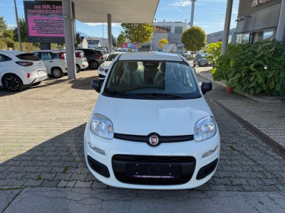 Fiat Panda Tageszulassung