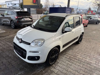 Fiat Panda Gebrauchtwagen