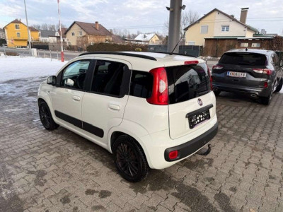 Fiat Panda Gebrauchtwagen