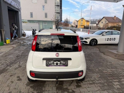 Fiat Panda Gebrauchtwagen