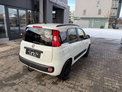 Fiat Panda Gebrauchtwagen
